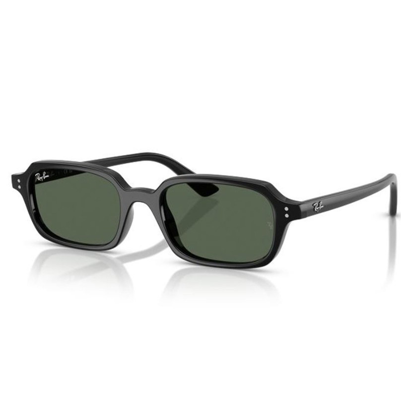 GAFA RAYBAN 4455 667771
