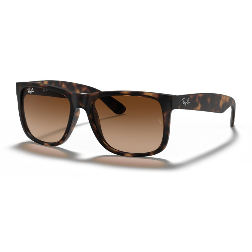 GAFA RAYBAN 4165 710-13/55