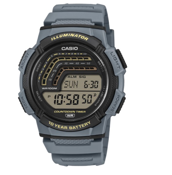 RELOJ CASIO WS-1800-2AVEF